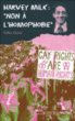 Harvey Milk : non à l'homophobie&nbsp;-&nbsp;Safia Amor
