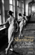 Le ballet de la victoire&nbsp;-&nbsp;Antonio Skarmeta, Alice Seelow