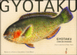 Gyotakus&nbsp;-&nbsp;Collectif