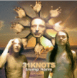 31 Knots&nbsp;-&nbsp;Trump harm