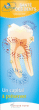 Reflex Santé des dents&nbsp;-&nbsp;Catherine Viot