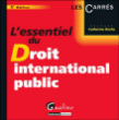 L'essentiel du droit international public et du droit des relations internationales&nbsp;-&nbsp;Catherine Roche