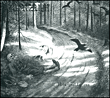 Burzum&nbsp;-&nbsp;Hvis Lyset Tar Oss