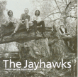 The Jayhawks&nbsp;-&nbsp;Tomorrow the green grass