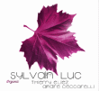 Sylvain Luc&nbsp;-&nbsp;Organic