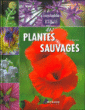 Encyclopédie visuelle des plantes sauvages&nbsp;-&nbsp;Collectif