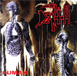 Death&nbsp;-&nbsp;Human