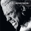 Death Destruction&nbsp;-&nbsp;Death Destruction