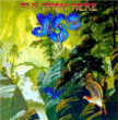 Fly from here - Inclus DVD bonus