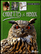 Chouettes et hiboux&nbsp;-&nbsp;Michel Cuisin