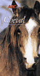 L'ABCdaire du cheval&nbsp;-&nbsp;Patrice Franchet d'espèrey, Geneviève Carbone, Claude Gérard