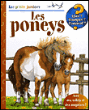 Les poneys&nbsp;-&nbsp;Collectif