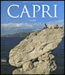 Capri en mer ou une aventure structurelle aux multiples visages&nbsp;-&nbsp;Patrick Howlett-Martin