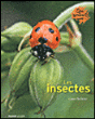 Les insectes&nbsp;-&nbsp;Lucas Baliteau
