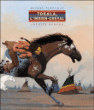Tokala l'indien cheval&nbsp;-&nbsp;Michel Piquemal, Arnaud Ronzon