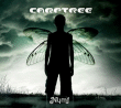 Carptree&nbsp;-&nbsp;Nymf