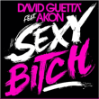 David Guetta&nbsp;-&nbsp;Sexy bitch featuring Akon