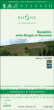 Beaujolais, entre Morgon et Vauxonne&nbsp;-&nbsp;Collectif