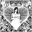 Shivaree&nbsp;-&nbsp;Tainted love mating calls and fight songs