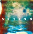 The Horrors&nbsp;-&nbsp;Skying