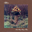 Moi Caprice&nbsp;-&nbsp;We had faces then