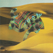 Django Django&nbsp;-&nbsp;Django Django