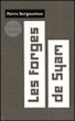 Les forges de Syam&nbsp;-&nbsp;Pierre Bergounioux
