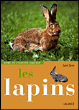 Lapins&nbsp;-&nbsp;Sven Sein