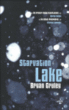 Le lac des ombres