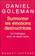 Surmonter les émotions destructrices&nbsp;-&nbsp;Dalaï Lama XIV, Daniel Goleman