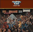 Marvin Gaye