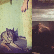 Bodies Of Water&nbsp;-&nbsp;A certain feeling