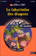 Le labyrinthe des dragons