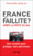 France, la faillite ?&nbsp;-&nbsp;Philippe Herlin
