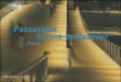 Passerelle Simone de Beauvoir&nbsp;-&nbsp;Collectif
