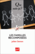 Les familles recomposées&nbsp;-&nbsp;Julien Damon