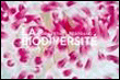 La biodiversité&nbsp;-&nbsp;Yann Arthus-Bertrand