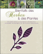 Herbes et plantes&nbsp;-&nbsp;Collectif