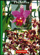 101 astuces orchidées&nbsp;-&nbsp;R. Vacherot