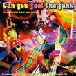 Soul Patrol&nbsp;-&nbsp;Can you feel the funk - Volume 17