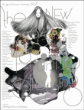 New age of feminine drawing&nbsp;-&nbsp;Collectif