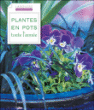 Plantes en pots pour toute l'année&nbsp;-&nbsp;Collectif
