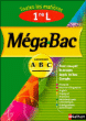 Mégabac 1ère L&nbsp;-&nbsp;Collectif