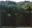 Rodolphe Burger, Olivier Cadiot&nbsp;-&nbsp;Welche on n'est pas indiens c'est dommage