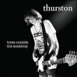 Thurston Moore&nbsp;-&nbsp;Trees outside the academy