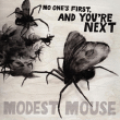 Modest Mouse&nbsp;-&nbsp;No one s first and you re next