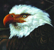 Mogwai&nbsp;-&nbsp;The hawk is howling