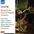 Simon Mayr&nbsp;-&nbsp;David in spelunca Engaddi