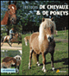Races de chevaux et de poneys&nbsp;-&nbsp;Collectif