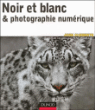 Noir et blanc et photographie numérique&nbsp;-&nbsp;John Clements